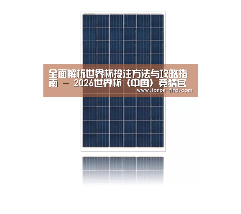 产品名称一