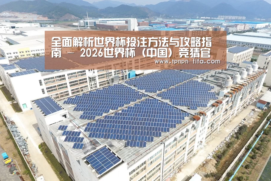 案例展示一