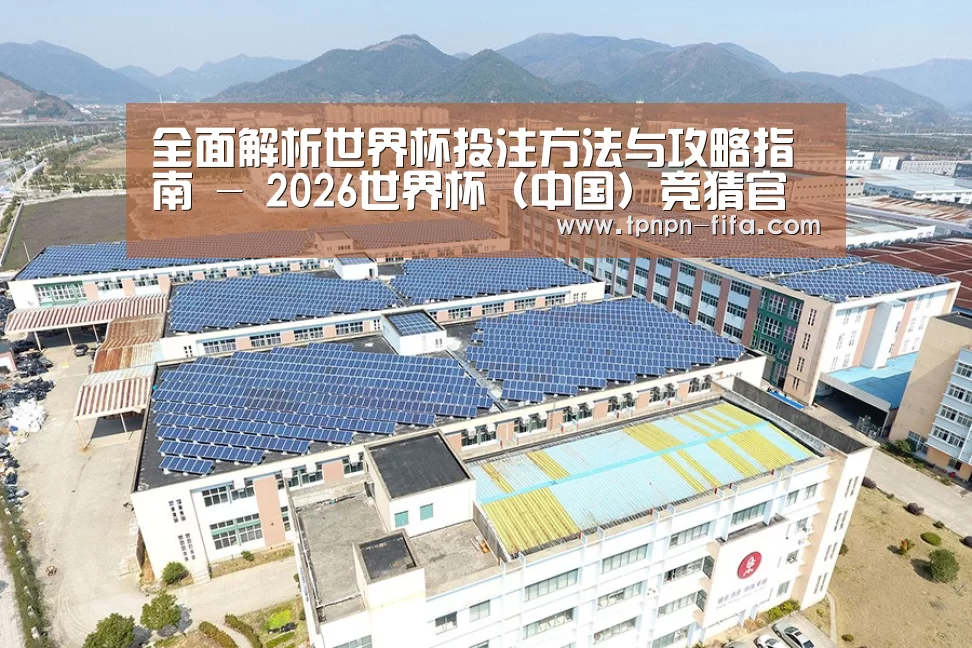 案例展示一