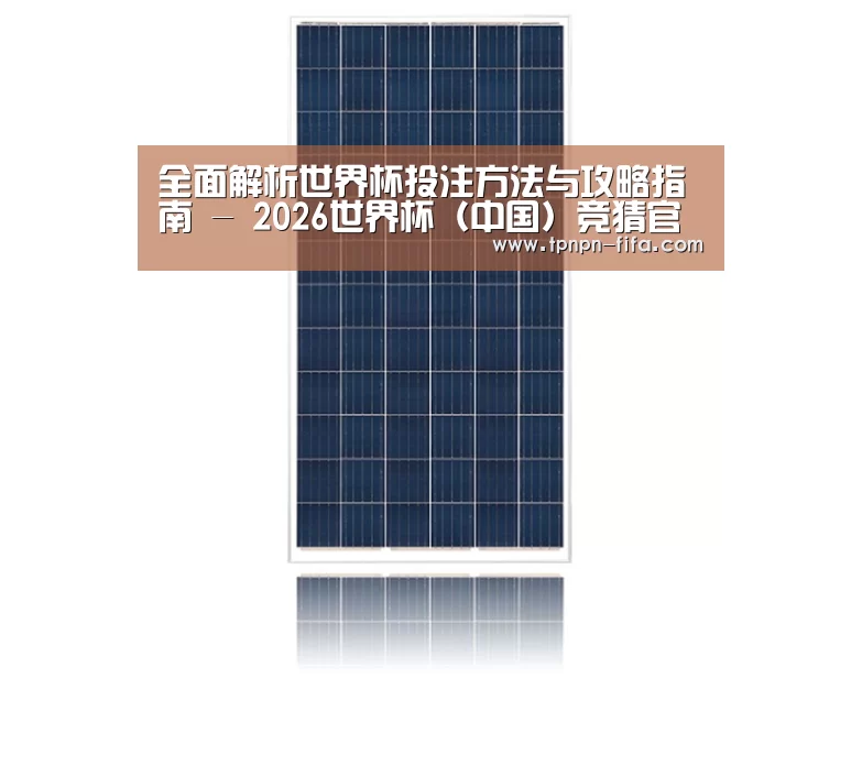 产品名称一