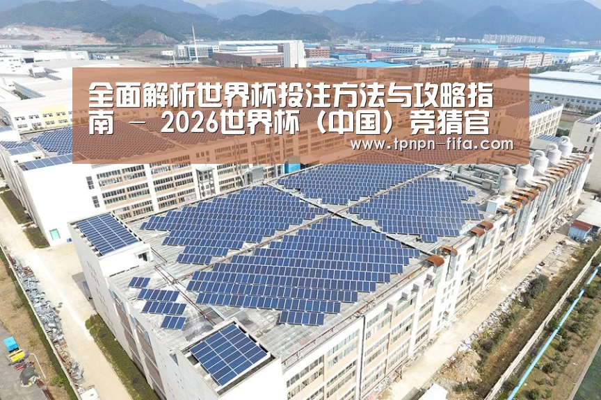 案例展示三