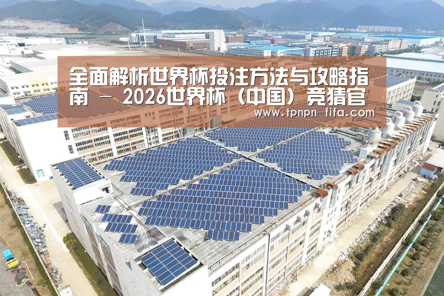 案例展示四