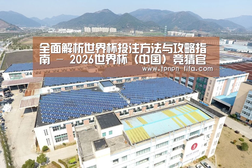 案例展示三