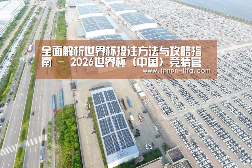 案例展示二