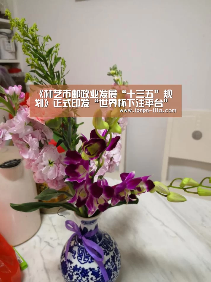 《林芝市邮政业发展“十三五”规划》正式印发“世界杯下注平台”(图2) 世界杯下注
