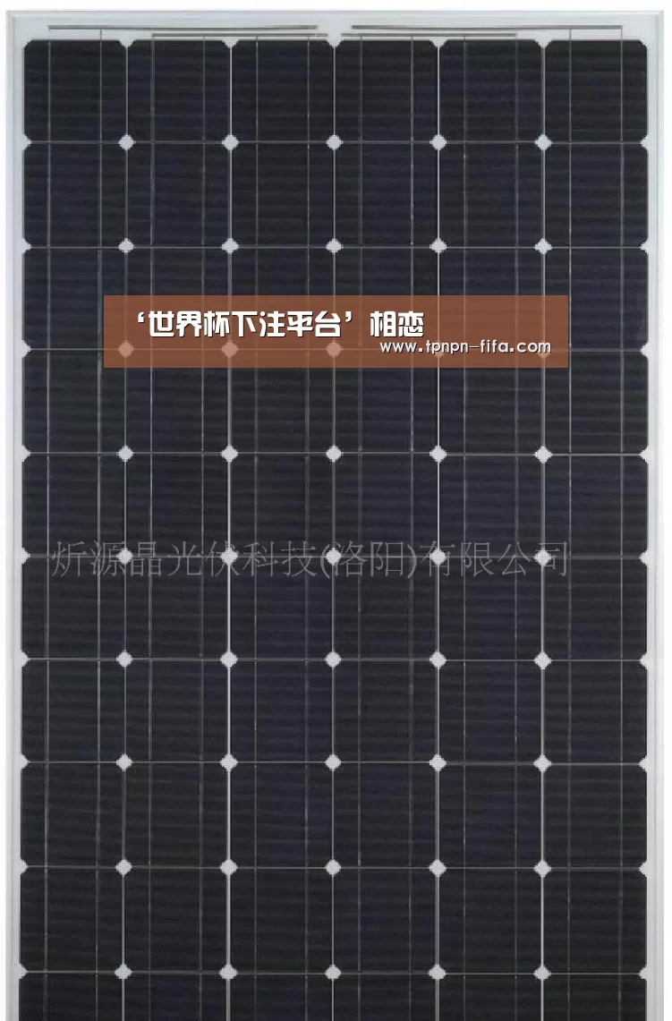 ‘世界杯下注平台’相恋